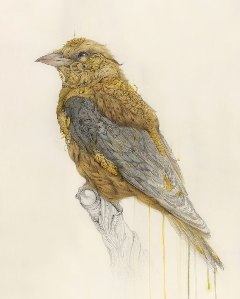 "Golden Oriole"