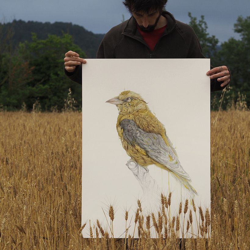 Foto en una de las zonas de casa donde al pájaro original le encanta pasearse