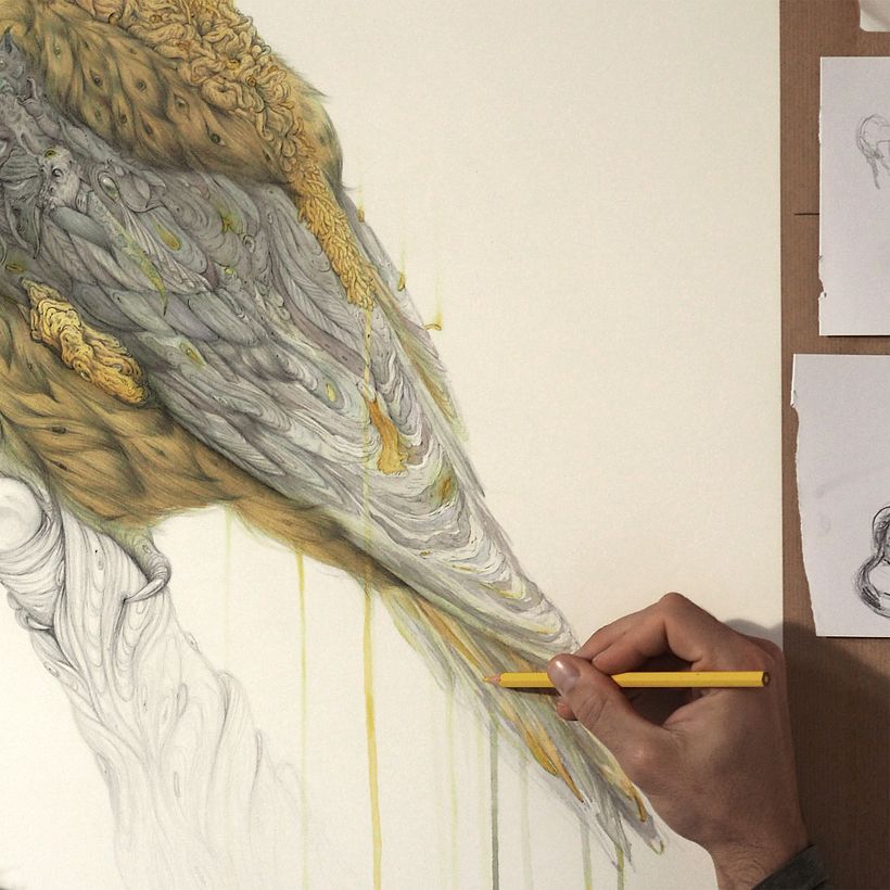 Detalle del proceso en el estudio