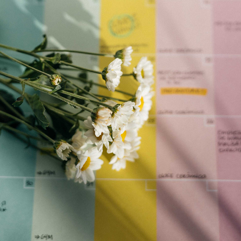 Happimess: planificá con optimismo y color 4