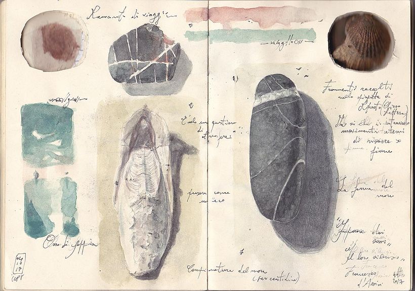 resoconto di un viaggio_ campionature del mare_2017 3