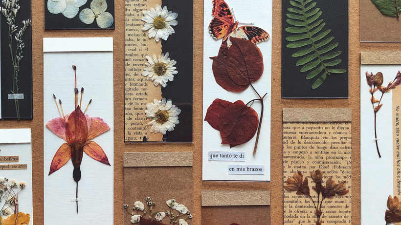 Botanical artworks by Camila Hurtado.