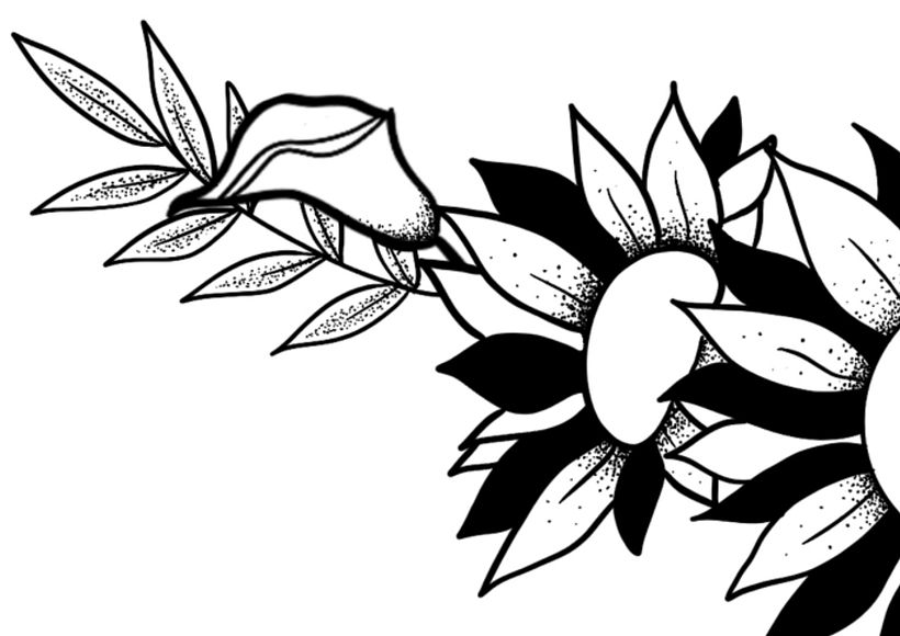 Detalles del diseño