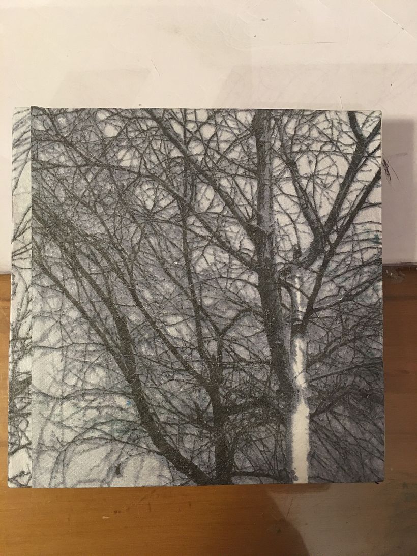 tyvek print of my photo/tree