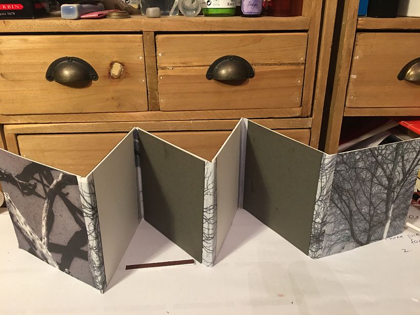 First attempt/ board uneven but loving images