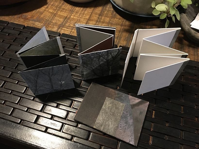 My little group showing concertina with cover