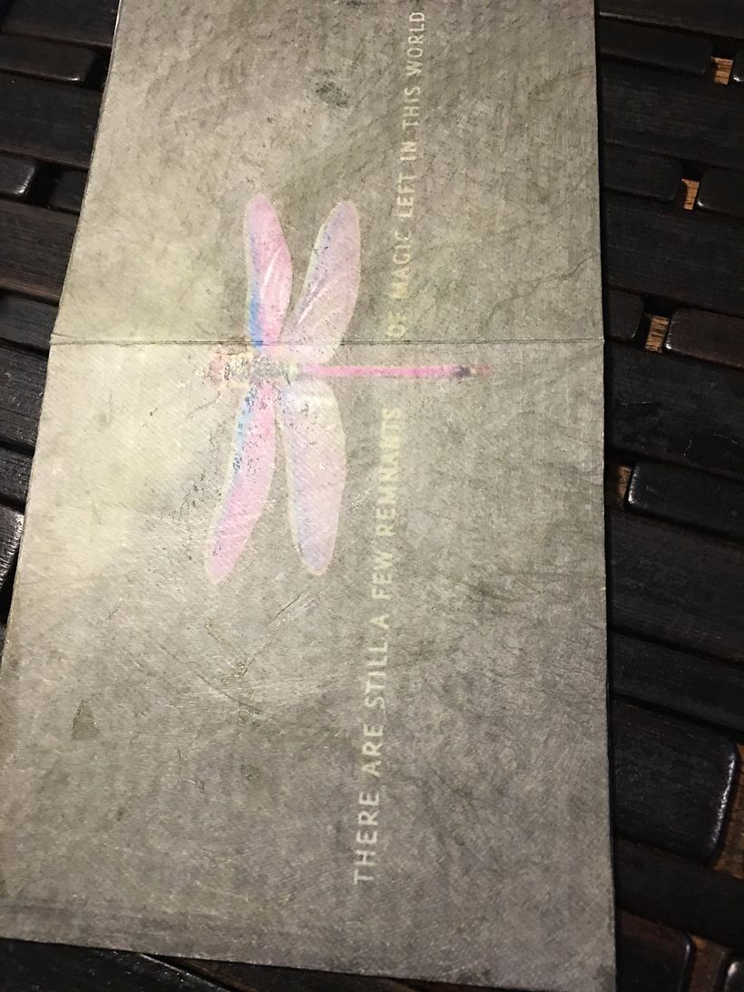 Printed Tyvek 2nd concertina