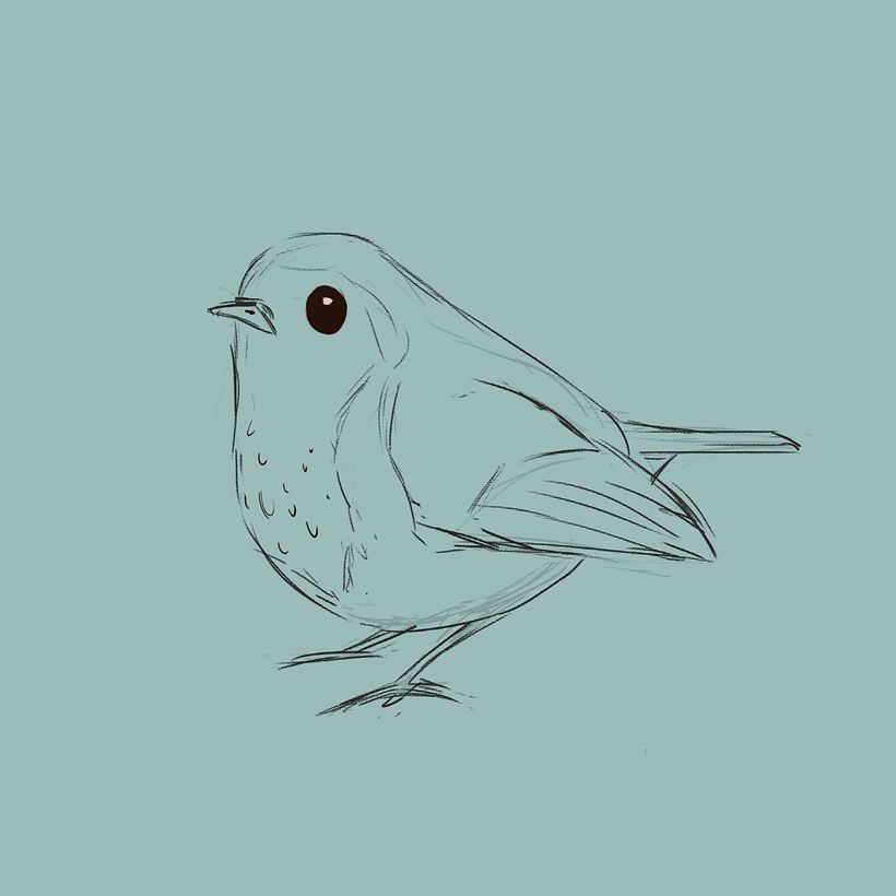 Trying to keep the shapes simple and use straight vs curved.