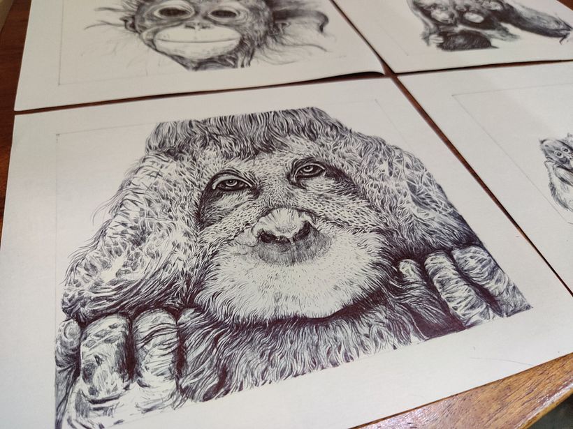 My project for course: Pop-Up Book Creation on Orangutans 6