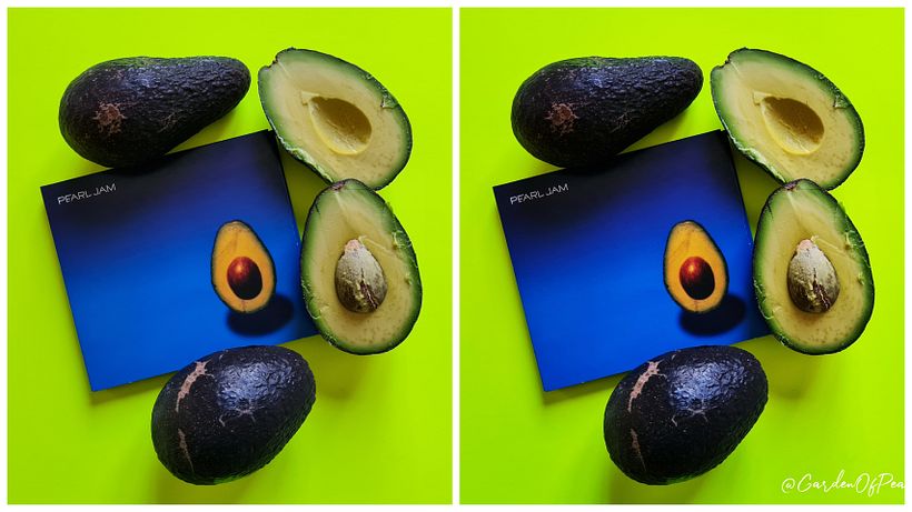 Flat Lay Pearl Jam Avocado