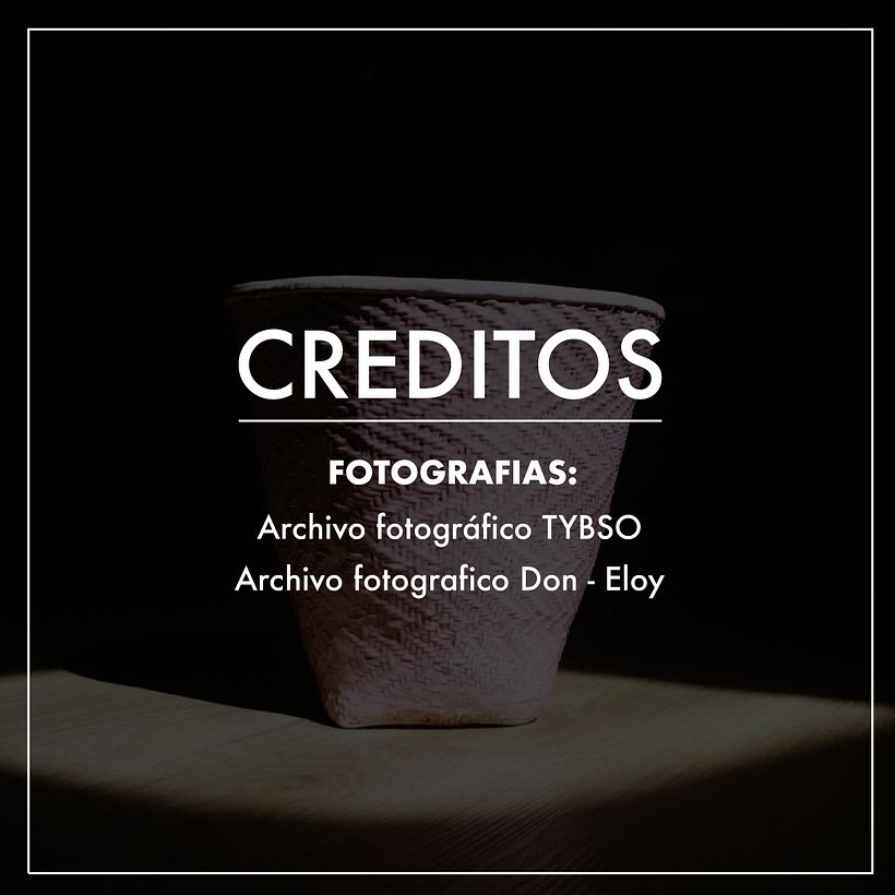 Desarrollo de floreros para Don-Eloy 16