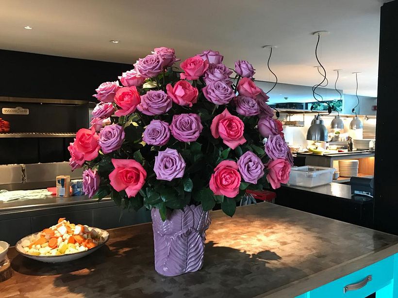 Desarrollo de floreros para Don-Eloy 9