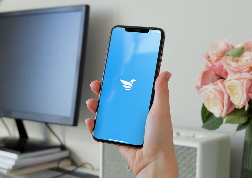 concepting for twitter rebranding 14