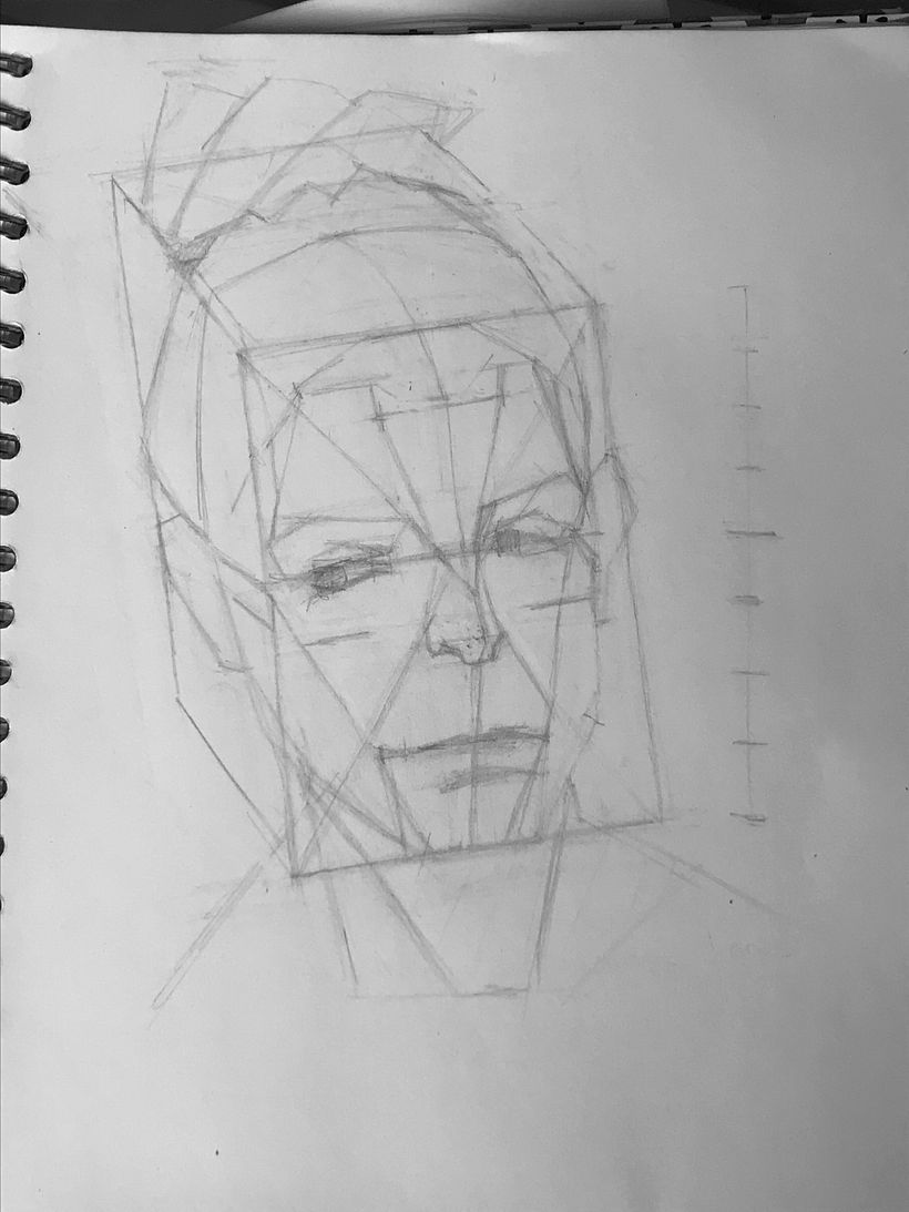 a structure drawing clarifying planes and perspective depth of the portrait