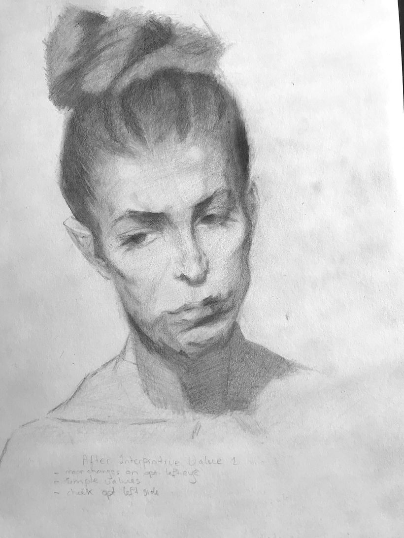 starting with the values of the portrait