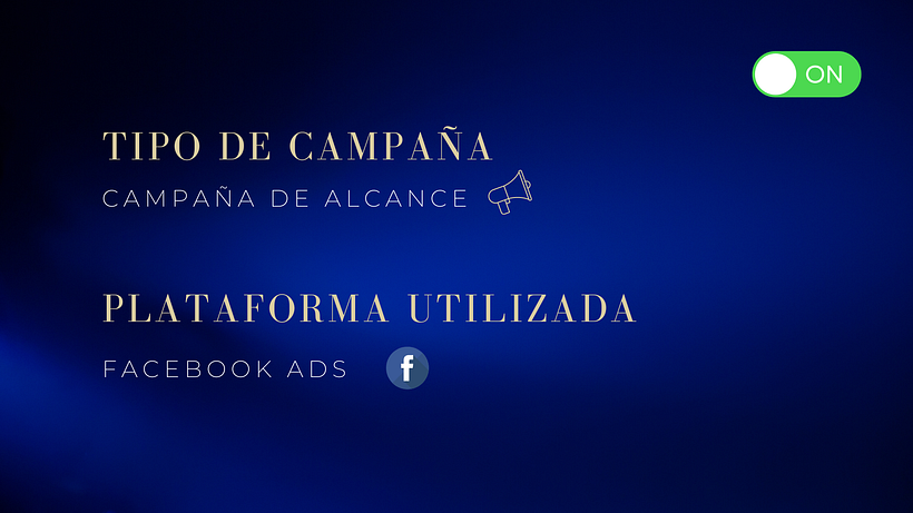 Mi proyecto del curso: Google Ads y Facebook Ads desde cero 2