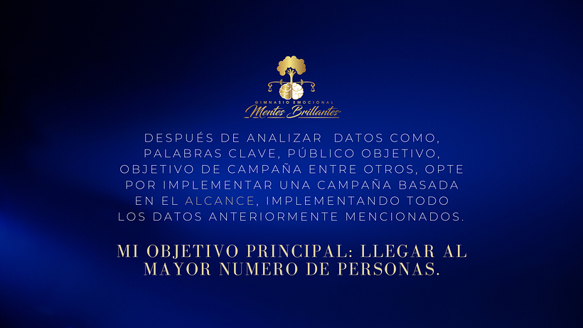 Mi proyecto del curso: Google Ads y Facebook Ads desde cero 1