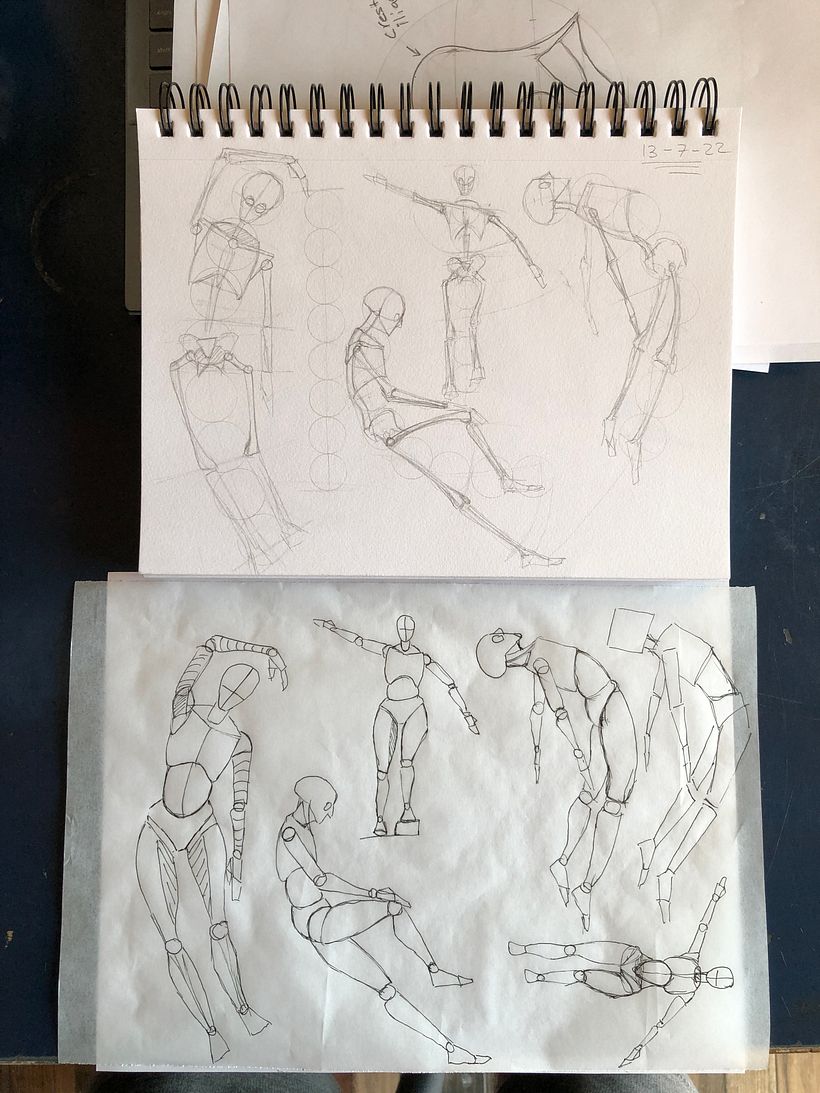 Mi proyecto del curso: Dibujo anatómico para principiantes 2