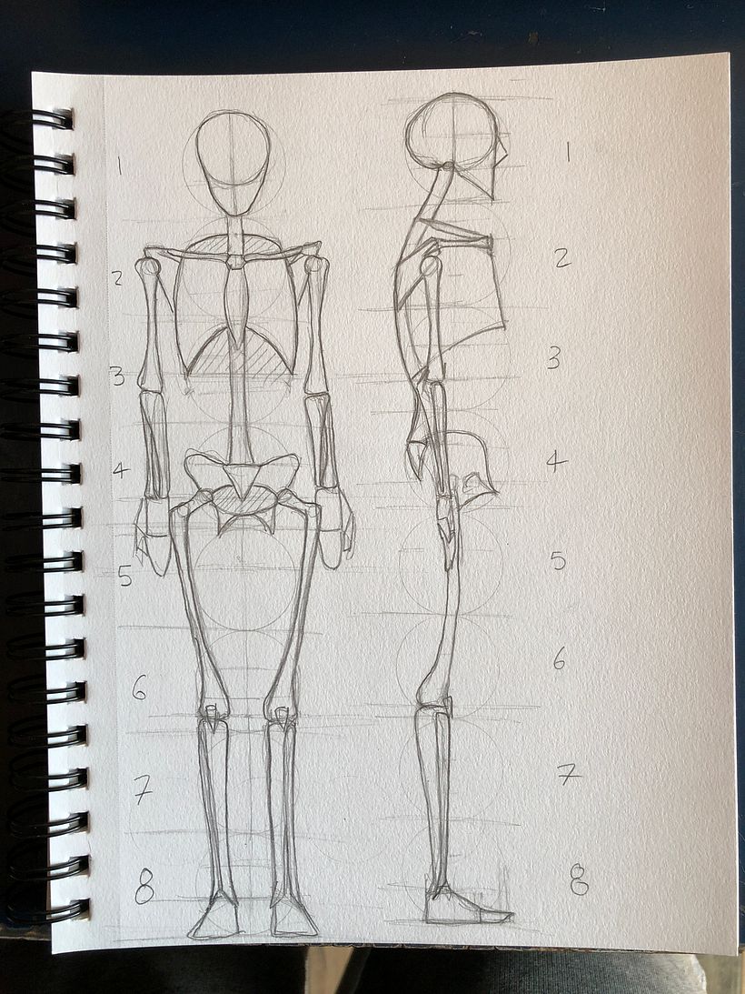 Mi proyecto del curso: Dibujo anatómico para principiantes 3