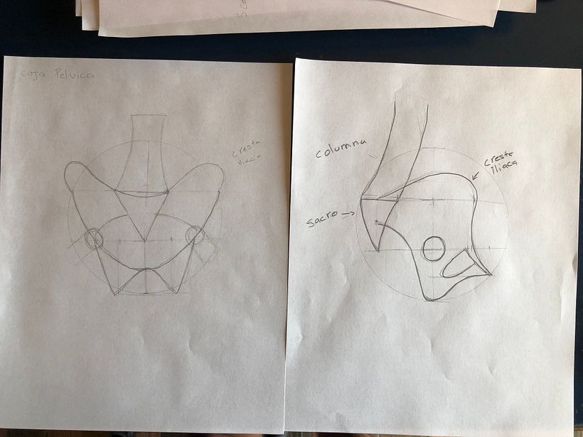Mi proyecto del curso: Dibujo anatómico para principiantes 9