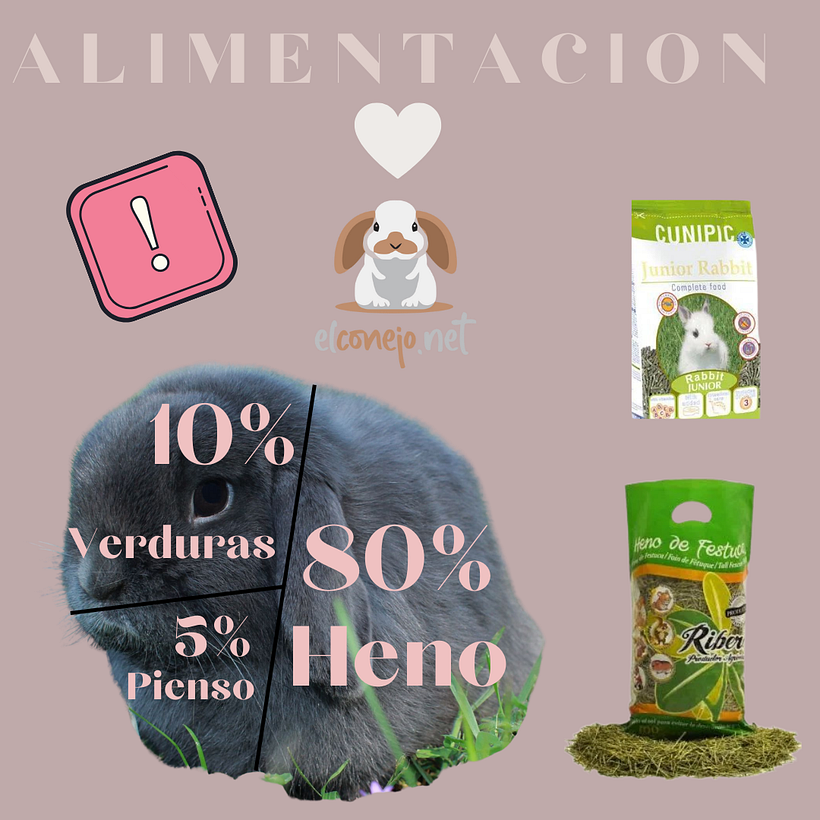 Mi proyecto del curso: Elconejonet 4