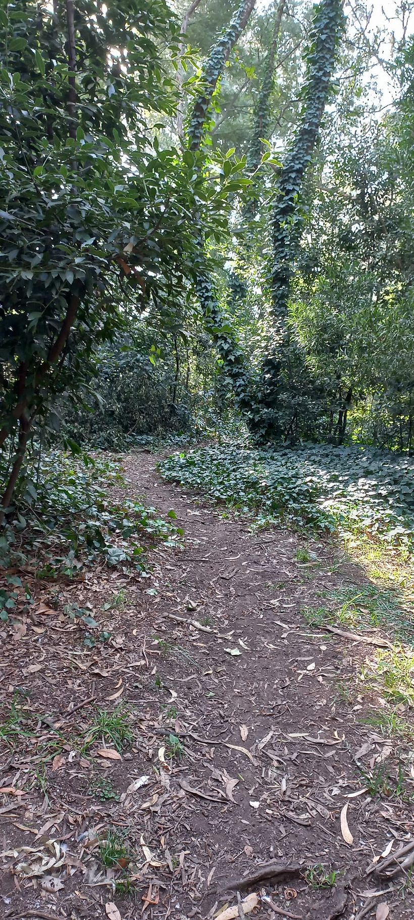 Mi proyecto del curso: Gimnasio de escritura: de la hoja en blanco a la práctica cotidiana 4