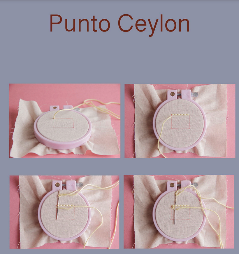 Así luce una de las páginas del PDF donde se explica, paso a paso, puntadas para crear texturas. 