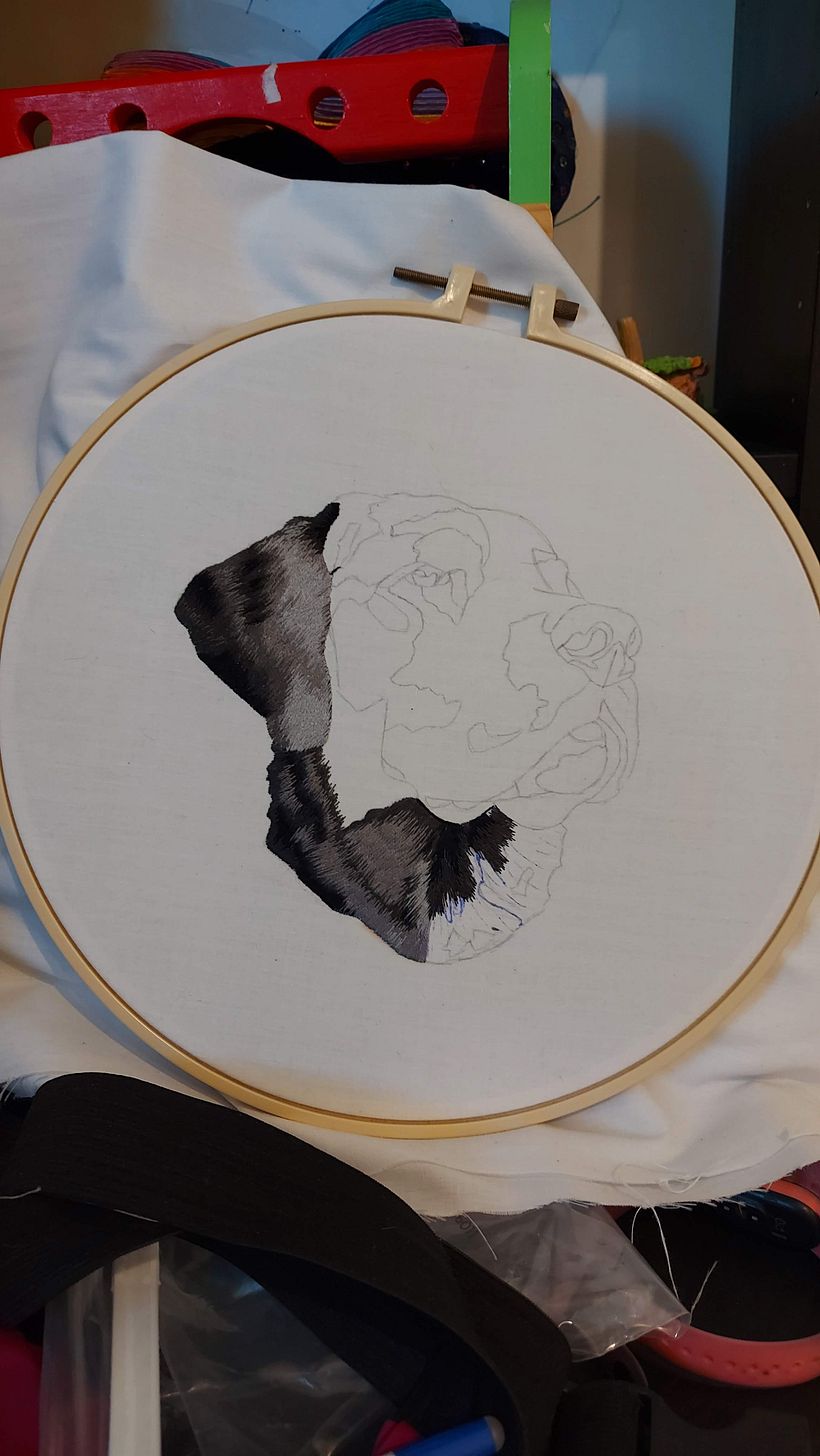 Usé bolígrafo que se borra con calor para marcar la orientación del pelaje