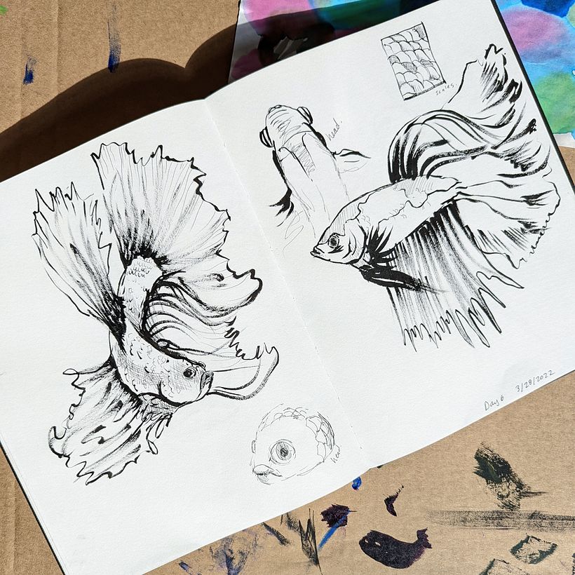 Betta fish study (drawn from photos) using black brush pen