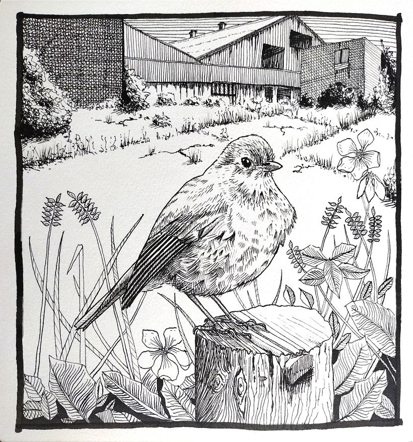 My project for course: Dip Pen and Ink Illustration: Capturing The Natural World 1