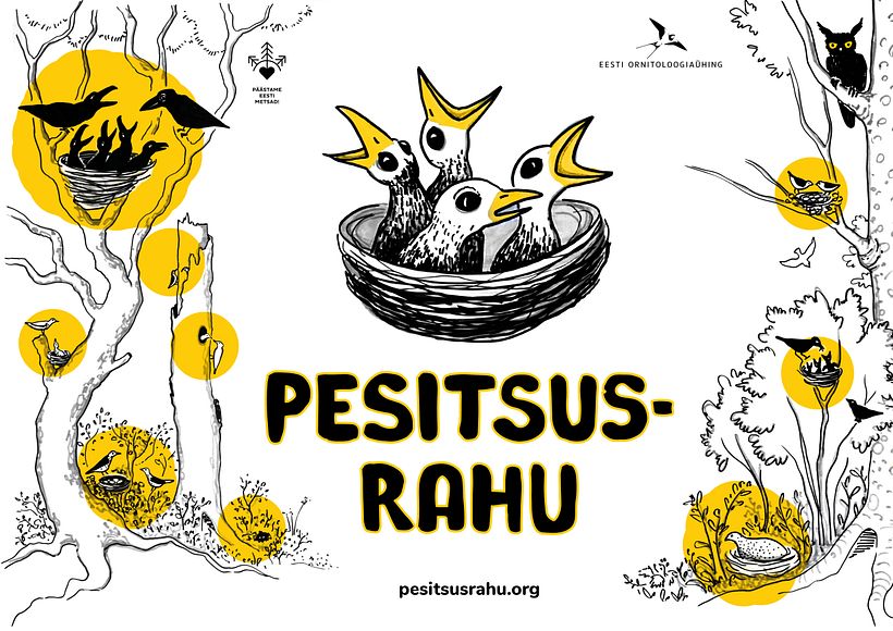 Campaign for nesting peace 2022 2