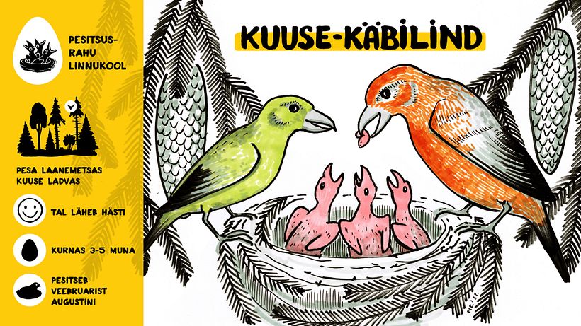 Campaign for nesting peace 2022 5