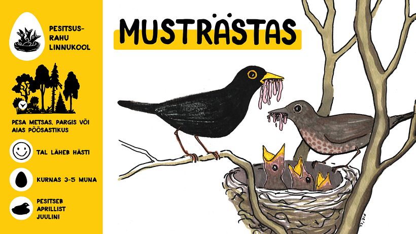 Campaign for nesting peace 2022 10