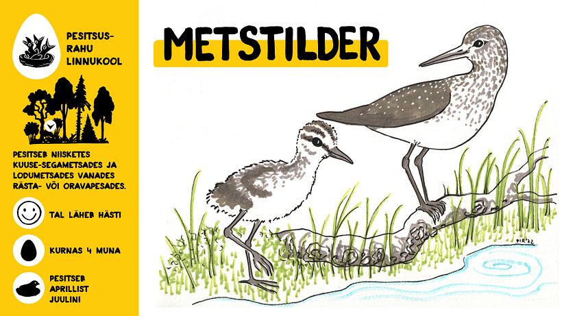 Campaign for nesting peace 2022 12