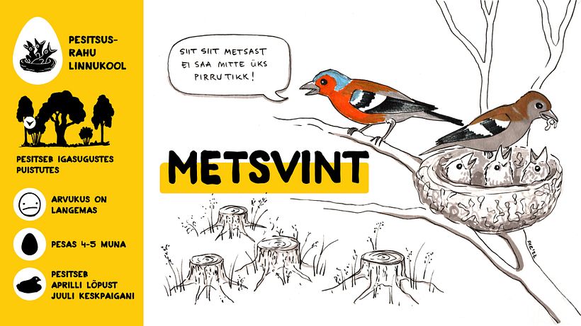 Campaign for nesting peace 2022 15