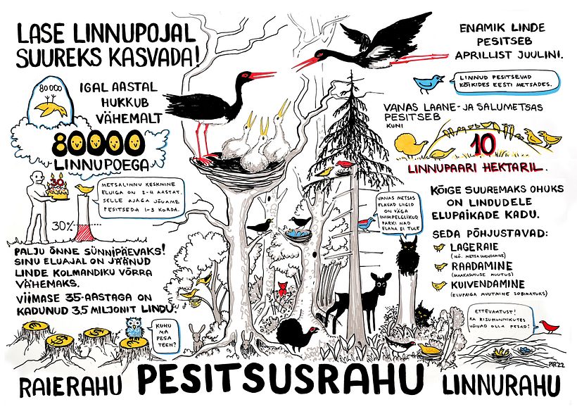 Campaign for nesting peace 2022 16