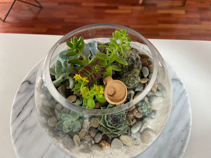 Sala Mich Primer Terrario 1