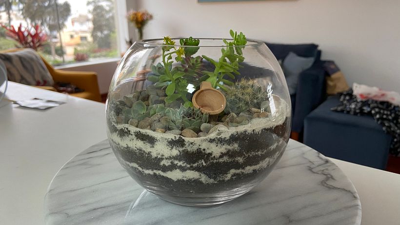 Sala Mich Primer Terrario 2
