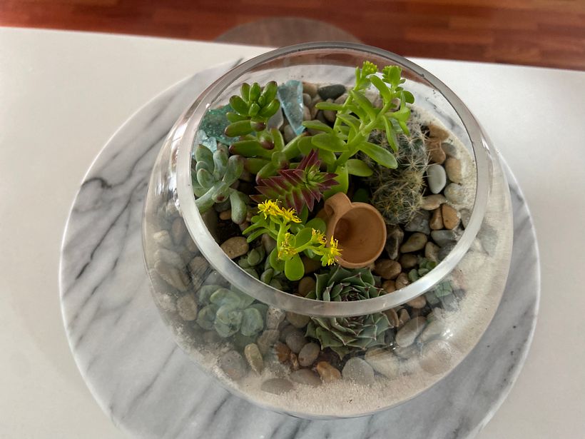 Sala Mich Primer Terrario 4