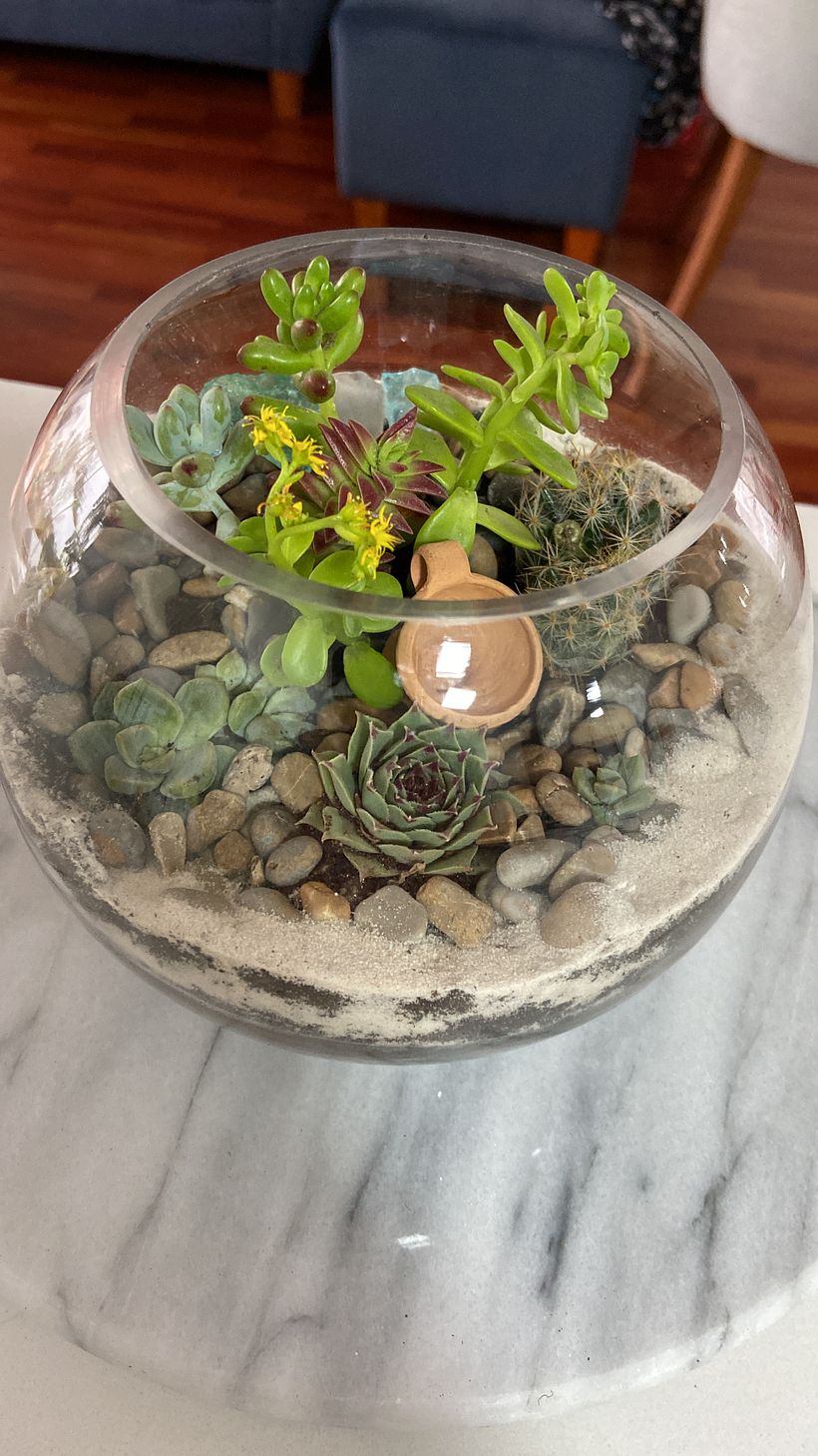Sala Mich Primer Terrario 5