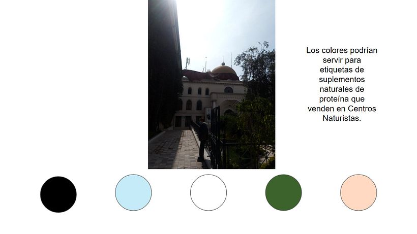 Paleta de colores (Parte 4) - UNIDAD 4