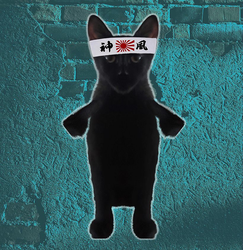 Ediciones dudosas de mis gatos 3