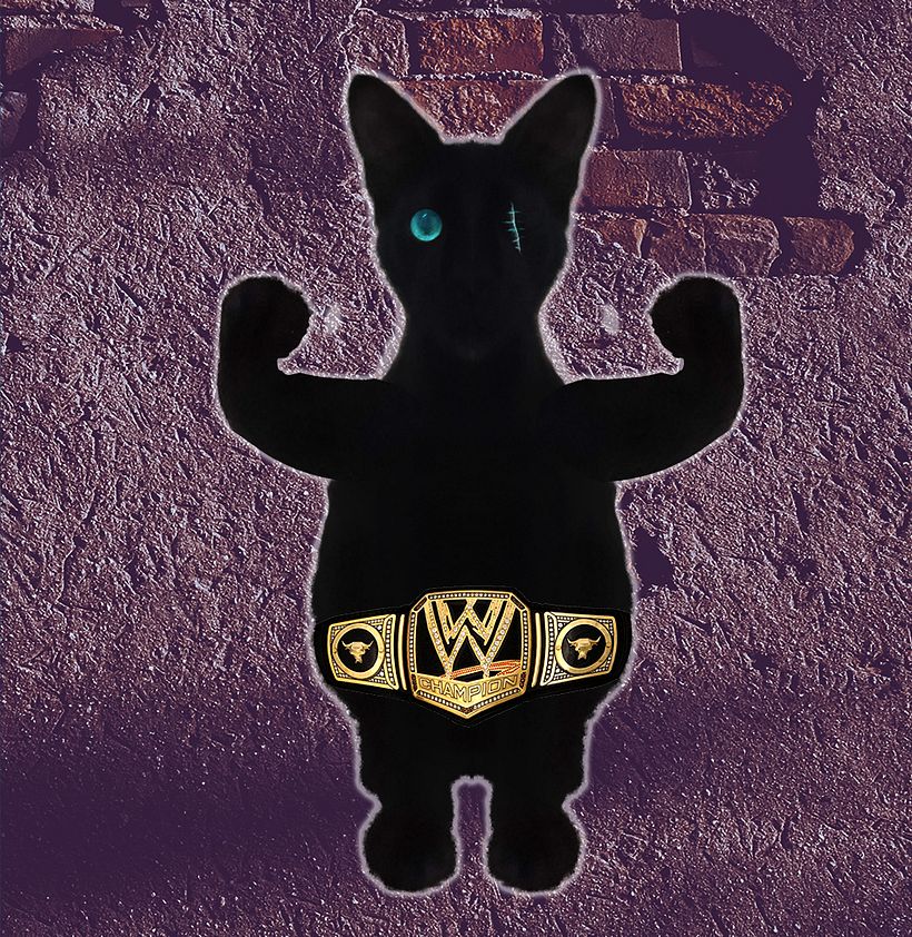 Ediciones dudosas de mis gatos 2