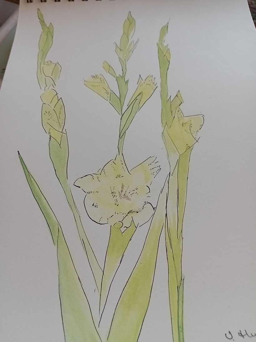 My project for course: Illustrating Nature with Watercolor and Pen 1