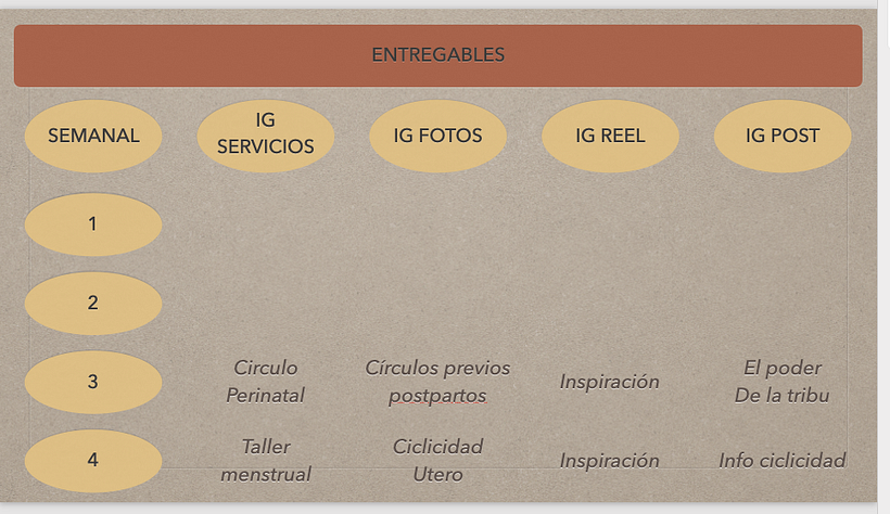 Mi proyecto del curso: Introducción al community management 16