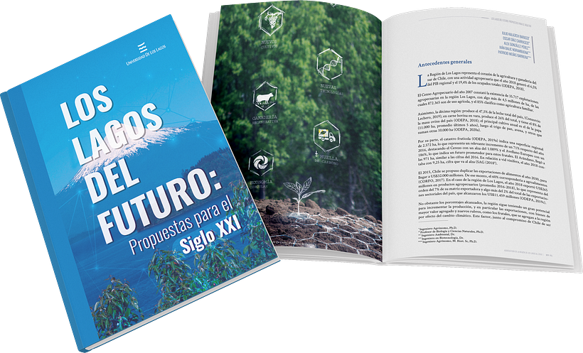 Libros Los Lagos 2