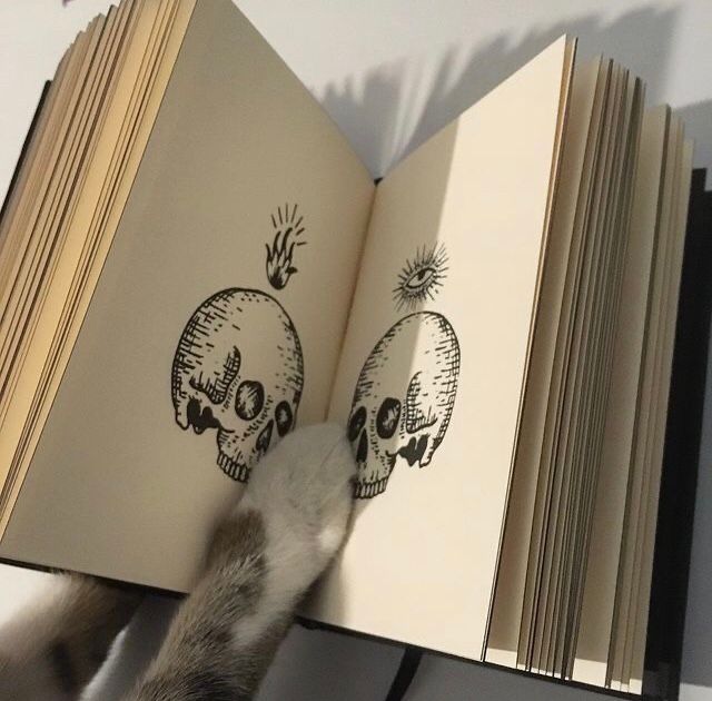 Libro Amuletos y Hechizos 8
