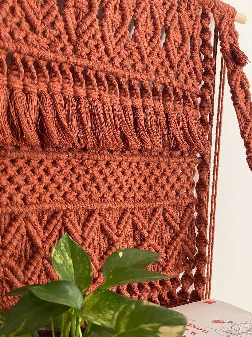 Meu projeto do curso: Macramê: do primeiro nó ao design final 2