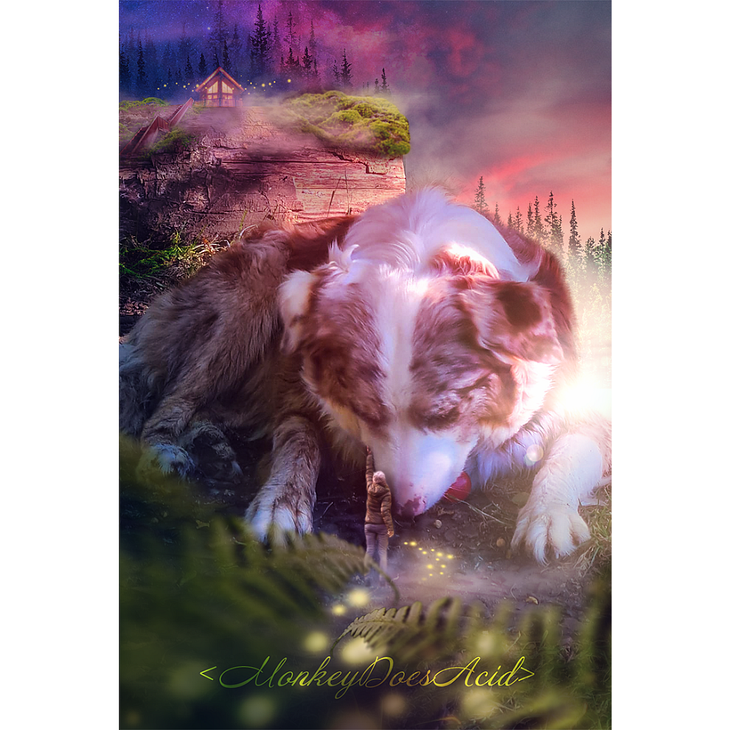 My project for course: Digital Collage in Photoshop: Composition and Visual Effects 3