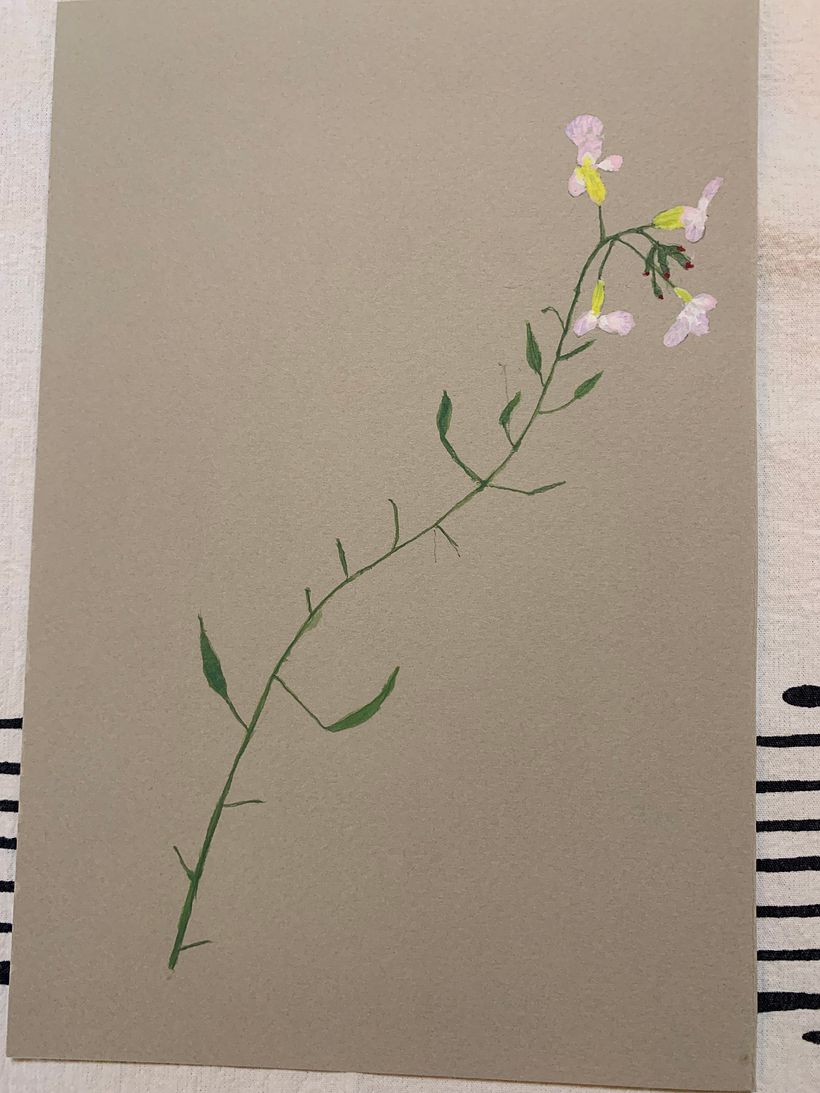 Radish flower in Gouache